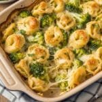 Cheesy tortellini and broccoli casserole baked until golden and bubbly.